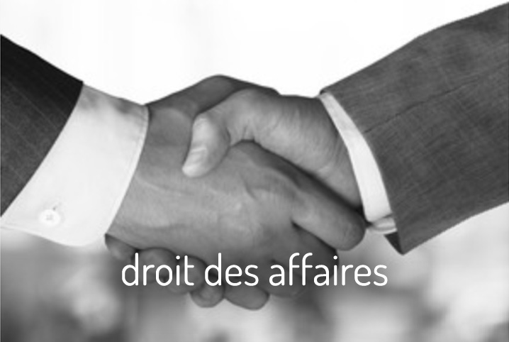 droit des affaires